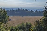 Land for sale in Yamhill County, Oregon