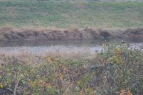 Undeveloped Land for sale in Cowlitz County, Washington