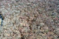 Farm and Ranch for sale in Litchfield County, Connecticut