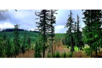 Recreational Property for sale in Columbia County, Oregon