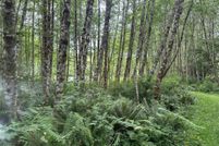 Land for sale in Cowlitz County, Washington