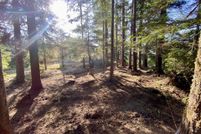 Undeveloped Land for sale in Tillamook County, Oregon
