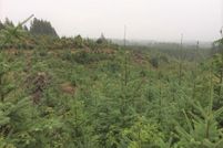 Undeveloped Land for sale in Washington County, Oregon