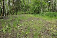 Land for sale in Cowlitz County, Washington