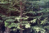 Farm and Ranch for sale in Coos County, Oregon