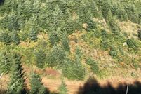 Land for sale in Clatsop County, Oregon