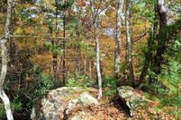Land for sale in Floyd County, Virginia