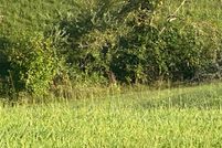 Undeveloped Land for sale in Lake County, Indiana