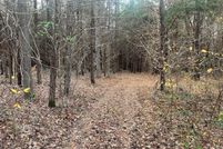 Land for sale in Mecklenburg County, Virginia