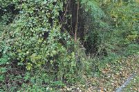 Land for sale in Prince Georges County, Maryland