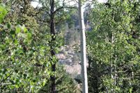 Undeveloped Land for sale in Park County, Colorado