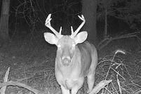 Farm and Ranch for sale in Ottawa County, Oklahoma