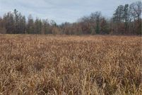 Land for sale in Burnett County, Wisconsin