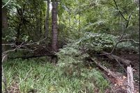 Undeveloped Land for sale in Franklin County, Georgia