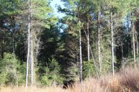 Land for sale in Hempstead County, Arkansas