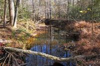 Undeveloped Land for sale in Powhatan County, Virginia
