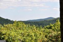 Undeveloped Land for sale in Dawson County, Georgia