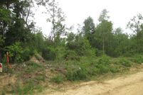 Undeveloped Land for sale in Telfair County, Georgia