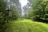 Undeveloped Land for sale in Newton County, Mississippi