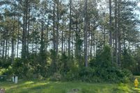 Timberland Property for sale in Camden County, Georgia