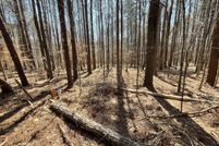 Land for sale in Heard County, Georgia