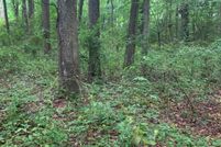 Undeveloped Land for sale in Hall County, Georgia