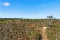 Undeveloped Land for sale in Washington County, Georgia