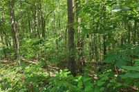 Land for sale in Pickens County, Georgia
