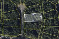 Land for sale in Camden County, Georgia