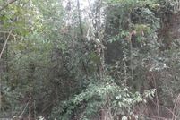 Land for sale in Jasper County, Georgia