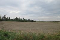 Land for sale in Telfair County, Georgia