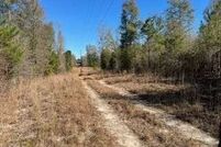 Land for sale in Clay County, Georgia