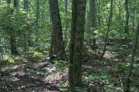 Land for sale in Rabun County, Georgia
