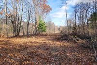 Homesite for sale in Lake County, Michigan