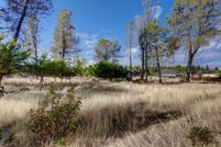 Farm and Ranch for sale in Nevada County, California