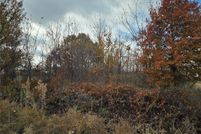 Timberland Property for sale in Butler County, Missouri
