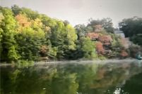 Undeveloped Land for sale in Carroll County, Arkansas