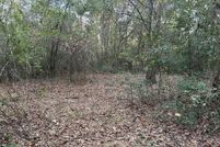 Undeveloped Land for sale in Seminole County, Georgia