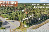 Undeveloped Land for sale in Lee County, Florida