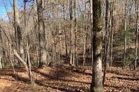 Undeveloped Land for sale in Gilmer County, Georgia