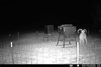 Land for sale in Brown County, Texas