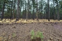 Homesite for sale in Colfax County, New Mexico