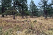 Land for sale in Colfax County, New Mexico