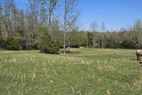 Land for sale in Clay County, Arkansas