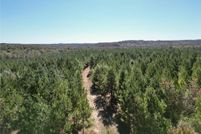 Undeveloped Land for sale in Barbour County, Alabama