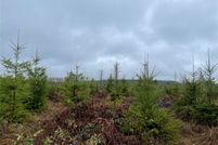 Undeveloped Land for sale in Lewis County, Washington