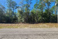 Homesite for sale in Citrus County, Florida