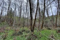 Undeveloped Land for sale in Cowlitz County, Washington