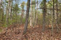 Undeveloped Land for sale in Grand Traverse County, Michigan