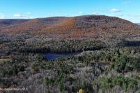 Undeveloped Land for sale in Greene County, New York